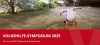 Vorschaubild_Symposium_Kind im Garten mit Wasserschlauch